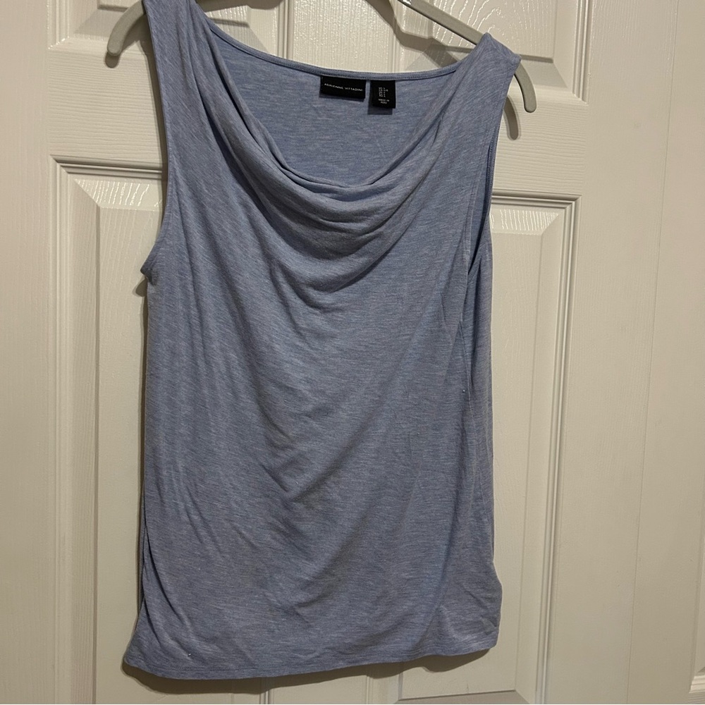 Adrienne Vittadini Soft Blue Top